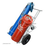 Комплект ПГУ- 40П (пропан), БАРСВЕЛД