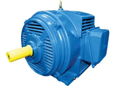 Электродвигатель 5АМН 315М8